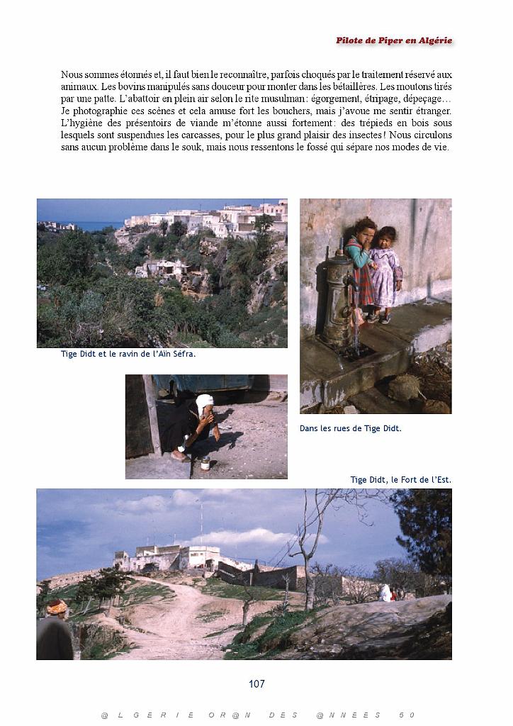 607 JOLIOT GOLF OU PILOTE DE PIPER PAR YVES LE BEC tome 2_000067.jpg
